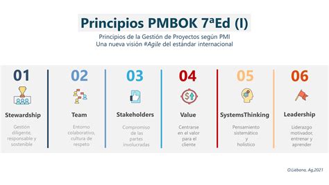 pmbok que significa.